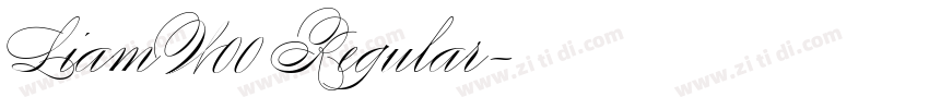 LiamW00 Regular字体转换
